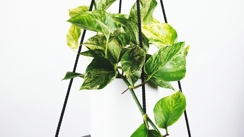 世界杯决赛球场内全景，观众席座无虚席，草坪灯光璀璨